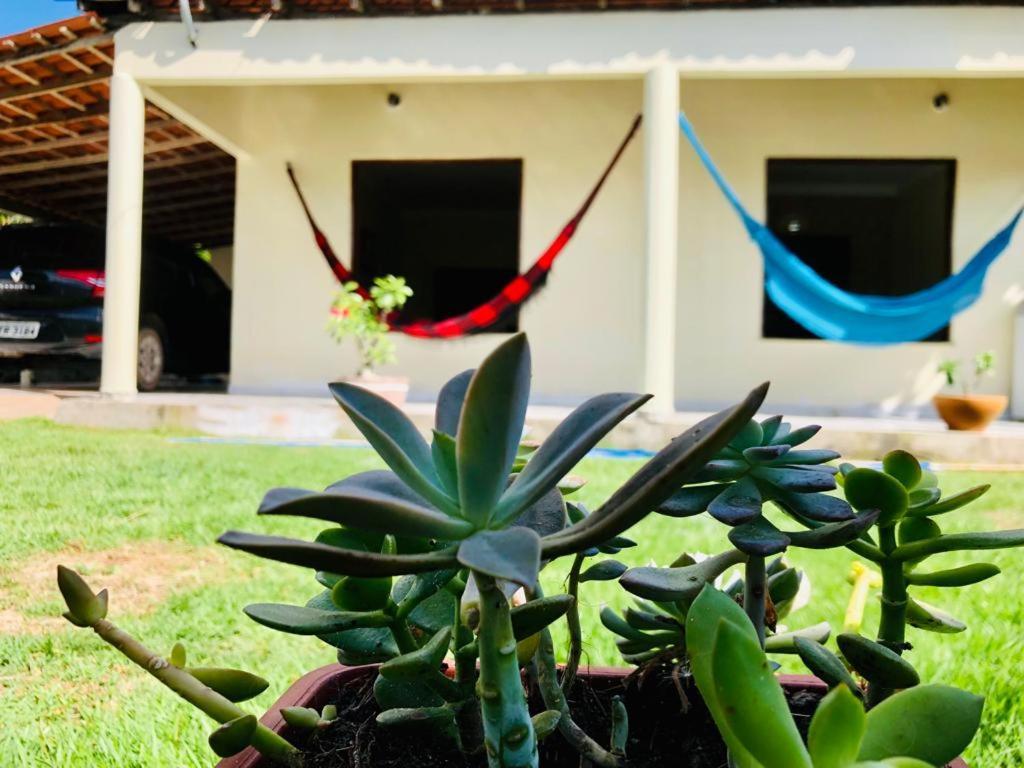 شقة Casa Em Barreirinhas 01 المظهر الخارجي الصورة
