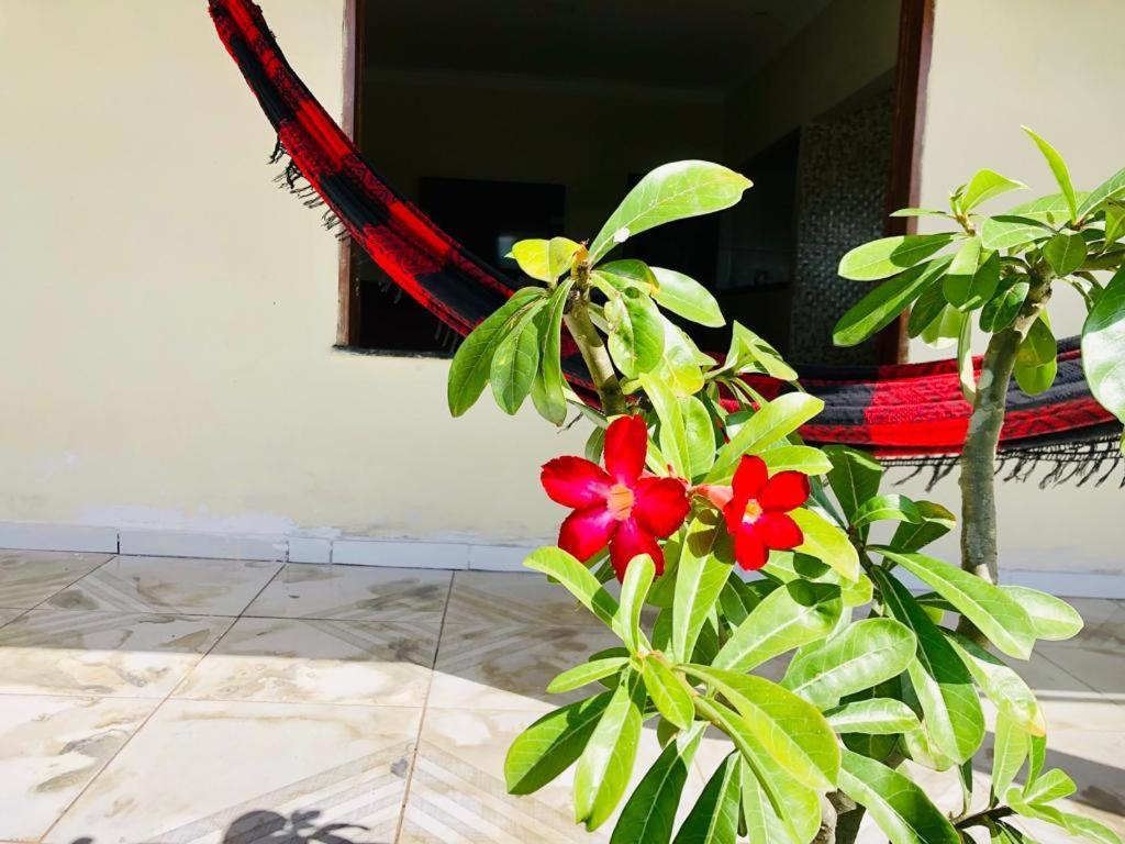 شقة Casa Em Barreirinhas 01 المظهر الخارجي الصورة
