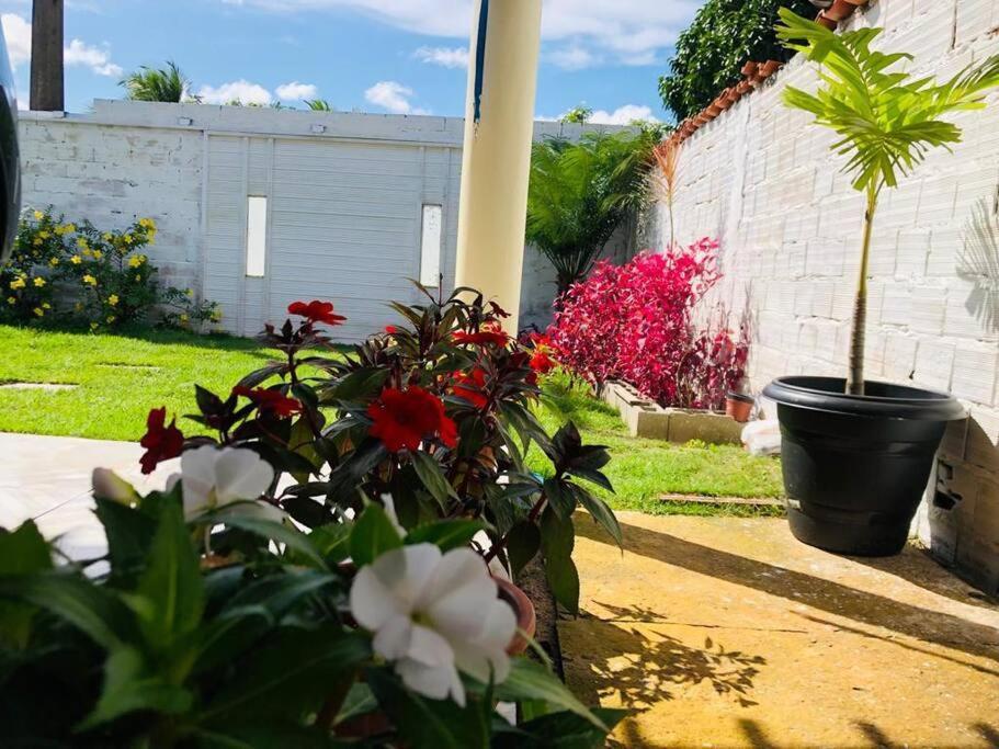 شقة Casa Em Barreirinhas 01 المظهر الخارجي الصورة